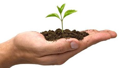 http://www.seedfund.in/images/news/seeding sucess.jpg